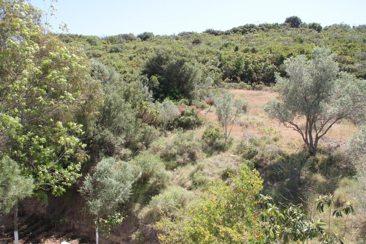 Aelbistan Otel Ντιντίμ Εξωτερικό φωτογραφία